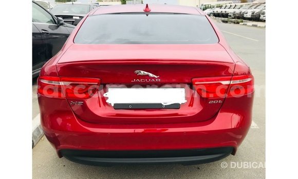 Buy Import Jaguar XE Red Car in Import - Dubai in Adamawa Buy Import Jaguar XE Red Car in Import - Dubai in Adamawa