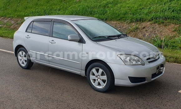 Buy Import Toyota Runx Silver Car in Yaounde in Central Cameroon Buy Import Toyota Runx Silver Car in Yaounde in Central Cameroon