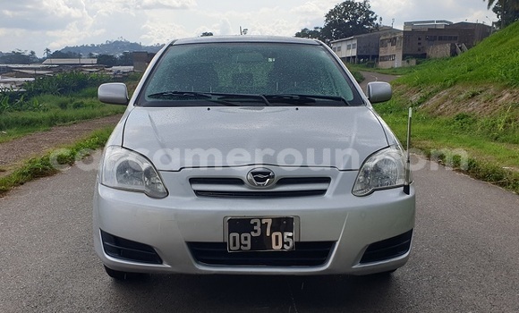 Buy Import Toyota Runx Silver Car in Yaounde in Central Cameroon Buy Import Toyota Runx Silver Car in Yaounde in Central Cameroon