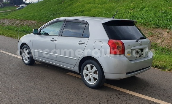 Buy Import Toyota Runx Silver Car in Yaounde in Central Cameroon Buy Import Toyota Runx Silver Car in Yaounde in Central Cameroon