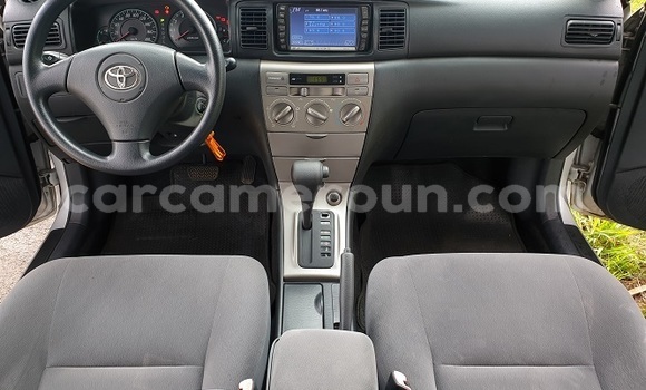 Buy Import Toyota Runx Silver Car in Yaounde in Central Cameroon Buy Import Toyota Runx Silver Car in Yaounde in Central Cameroon