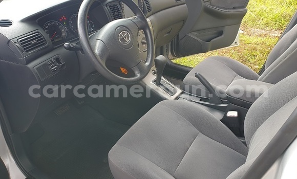 Buy Import Toyota Runx Silver Car in Yaounde in Central Cameroon Buy Import Toyota Runx Silver Car in Yaounde in Central Cameroon
