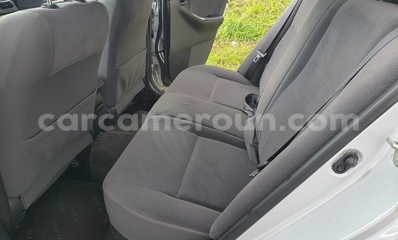 Buy Import Toyota Runx Silver Car in Yaounde in Central Cameroon Buy Import Toyota Runx Silver Car in Yaounde in Central Cameroon