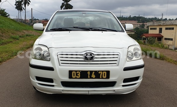 Buy Import Toyota Avensis White Car in Yaounde in Central Cameroon Buy Import Toyota Avensis White Car in Yaounde in Central Cameroon