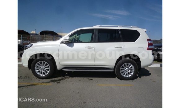 Acheter Import Voiture Toyota Prado Blanc à Import - Dubai, Adamawa Acheter Import Voiture Toyota Prado Blanc à Import - Dubai, Adamawa