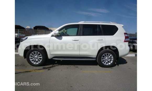 Acheter Import Voiture Toyota Prado Blanc à Import - Dubai, Adamawa Acheter Import Voiture Toyota Prado Blanc à Import - Dubai, Adamawa