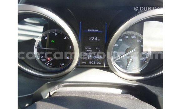 Acheter Import Voiture Toyota Prado Blanc à Import - Dubai, Adamawa Acheter Import Voiture Toyota Prado Blanc à Import - Dubai, Adamawa