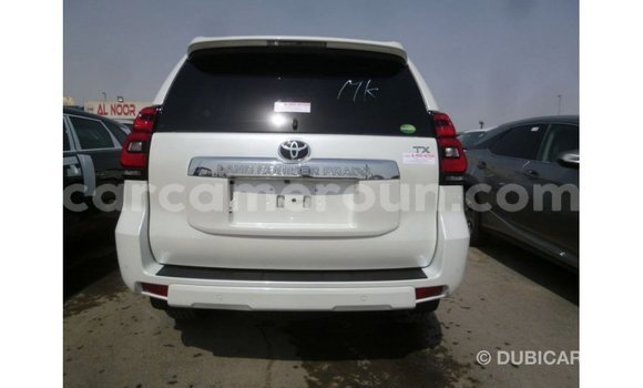 Sayi Imported Toyota Prado White Mota in Import - Dubai a Adamawa Sayi Imported Toyota Prado White Mota in Import - Dubai a Adamawa