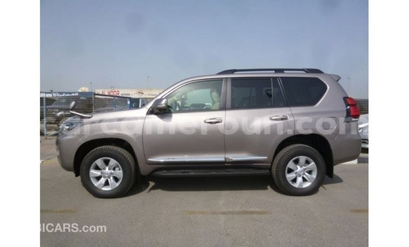 Acheter Import Voiture Toyota Prado Marron à Import - Dubai, Adamawa Acheter Import Voiture Toyota Prado Marron à Import - Dubai, Adamawa