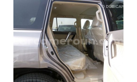 Acheter Import Voiture Toyota Prado Marron à Import - Dubai, Adamawa Acheter Import Voiture Toyota Prado Marron à Import - Dubai, Adamawa