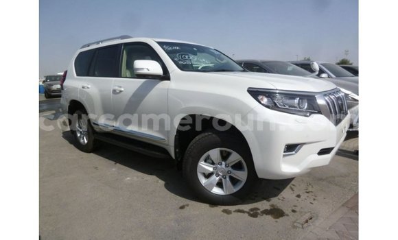 Acheter Import Voiture Toyota Prado Blanc à Import - Dubai, Adamawa Acheter Import Voiture Toyota Prado Blanc à Import - Dubai, Adamawa