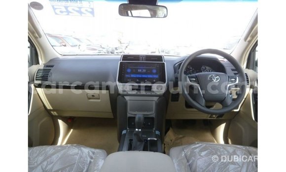 Acheter Import Voiture Toyota Prado Blanc à Import - Dubai, Adamawa Acheter Import Voiture Toyota Prado Blanc à Import - Dubai, Adamawa