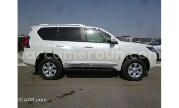 Acheter Import Voiture Toyota Prado Blanc à Import - Dubai, Adamawa Acheter Import Voiture Toyota Prado Blanc à Import - Dubai, Adamawa