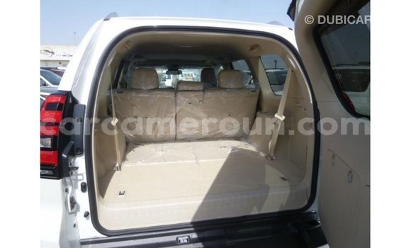 Acheter Import Voiture Toyota Prado Blanc à Import - Dubai, Adamawa Acheter Import Voiture Toyota Prado Blanc à Import - Dubai, Adamawa