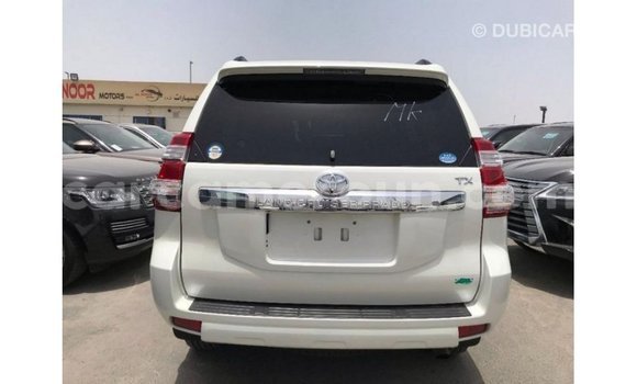 Acheter Import Voiture Toyota Prado Blanc à Import - Dubai, Adamawa Acheter Import Voiture Toyota Prado Blanc à Import - Dubai, Adamawa