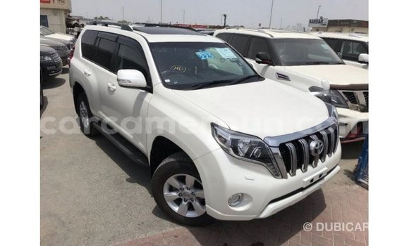 Acheter Import Voiture Toyota Prado Blanc à Import - Dubai, Adamawa Acheter Import Voiture Toyota Prado Blanc à Import - Dubai, Adamawa