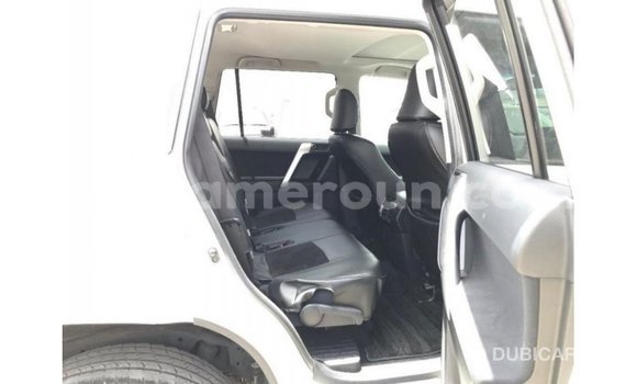 Acheter Import Voiture Toyota Prado Blanc à Import - Dubai, Adamawa Acheter Import Voiture Toyota Prado Blanc à Import - Dubai, Adamawa