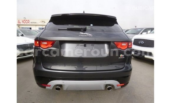 Buy Import Jaguar F-Type Black Car in Import - Dubai in Adamawa Buy Import Jaguar F-Type Black Car in Import - Dubai in Adamawa