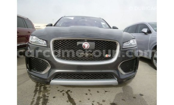 Buy Import Jaguar F-Type Black Car in Import - Dubai in Adamawa Buy Import Jaguar F-Type Black Car in Import - Dubai in Adamawa