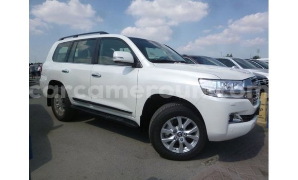 Acheter Import Voiture Toyota Land Cruiser Blanc à Import - Dubai, Adamawa Acheter Import Voiture Toyota Land Cruiser Blanc à Import - Dubai, Adamawa