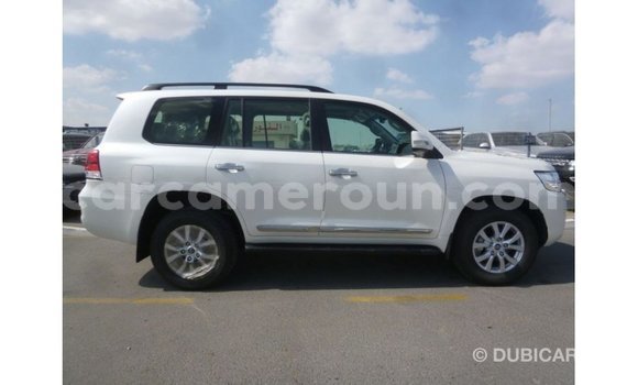 Acheter Import Voiture Toyota Land Cruiser Blanc à Import - Dubai, Adamawa Acheter Import Voiture Toyota Land Cruiser Blanc à Import - Dubai, Adamawa