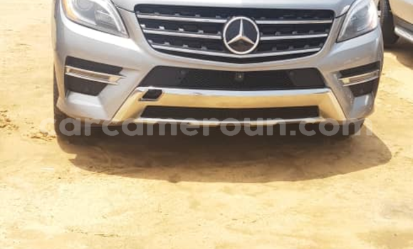 Acheter Occasion Voiture Mercedes Viano Gris à Yaoundé, Central Cameroon Acheter Occasion Voiture Mercedes Viano Gris à Yaoundé, Central Cameroon