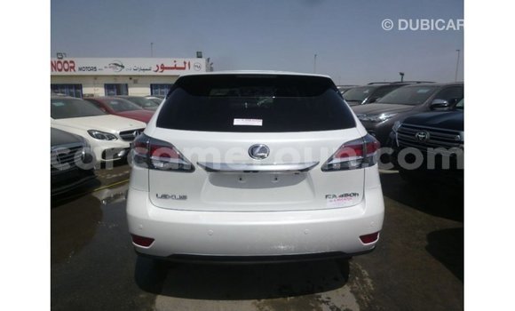 Buy Import Lexus RX White Car in Import - Dubai in Adamawa Buy Import Lexus RX White Car in Import - Dubai in Adamawa