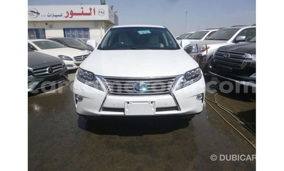 Buy Import Lexus RX White Car in Import - Dubai in Adamawa Buy Import Lexus RX White Car in Import - Dubai in Adamawa