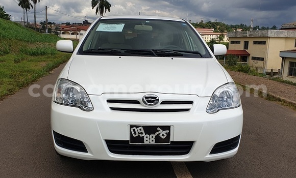 Acheter Import Voiture Toyota Allex Blanc à Yaoundé, Central Cameroon Acheter Import Voiture Toyota Allex Blanc à Yaoundé, Central Cameroon