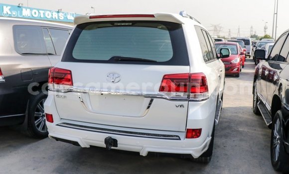 Acheter Import Voiture Toyota Land Cruiser Blanc à Import - Dubai, Adamawa Acheter Import Voiture Toyota Land Cruiser Blanc à Import - Dubai, Adamawa