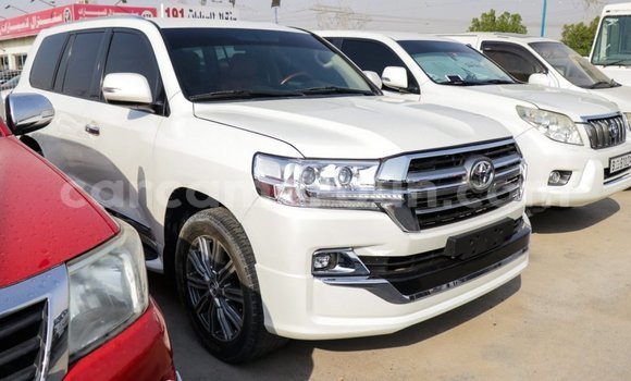 Acheter Import Voiture Toyota Land Cruiser Blanc à Import - Dubai, Adamawa Acheter Import Voiture Toyota Land Cruiser Blanc à Import - Dubai, Adamawa