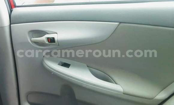 Sayi Na hannu Toyota Corolla Red Mota in Douala a Ƙasar Kamaru Sayi Na hannu Toyota Corolla Red Mota in Douala a Ƙasar Kamaru