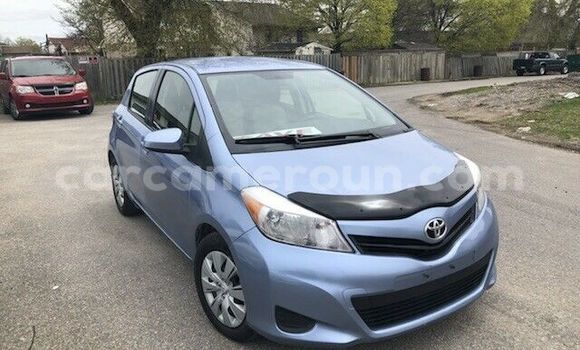 Buy Used Toyota Yaris Blue Car in Yaounde in Central Cameroon Buy Used Toyota Yaris Blue Car in Yaounde in Central Cameroon