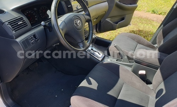 Acheter Import Voiture Toyota Allex Gris à Yaoundé, Central Cameroon Acheter Import Voiture Toyota Allex Gris à Yaoundé, Central Cameroon