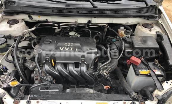 Acheter Occasion Voiture Toyota Corolla Gris à Douala, Littoral Cameroon Acheter Occasion Voiture Toyota Corolla Gris à Douala, Littoral Cameroon