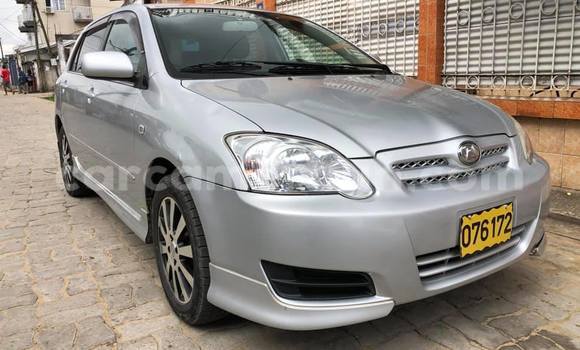 Acheter Occasion Voiture Toyota Corolla Gris à Douala, Littoral Cameroon Acheter Occasion Voiture Toyota Corolla Gris à Douala, Littoral Cameroon
