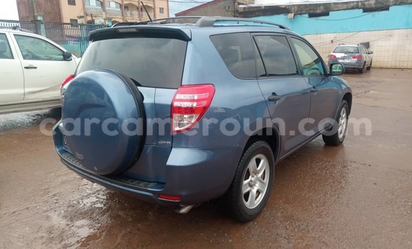 Acheter Occasion Voiture Toyota RAV4 Bleu à Yaoundé, Central Cameroon Acheter Occasion Voiture Toyota RAV4 Bleu à Yaoundé, Central Cameroon