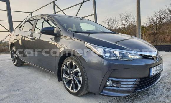 Sayi Na hannu Toyota Corolla Sauran Mota in Douala a Ƙasar Kamaru Sayi Na hannu Toyota Corolla Sauran Mota in Douala a Ƙasar Kamaru