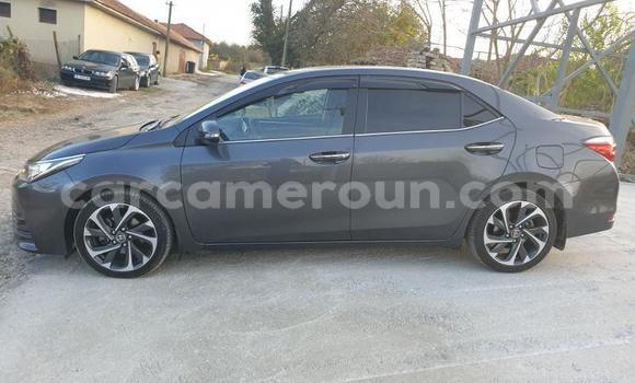 Sayi Na hannu Toyota Corolla Sauran Mota in Douala a Ƙasar Kamaru Sayi Na hannu Toyota Corolla Sauran Mota in Douala a Ƙasar Kamaru