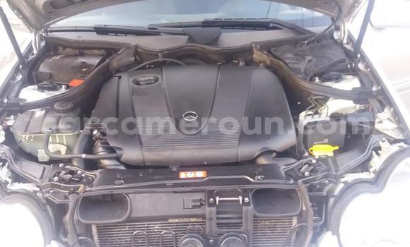 Sayi Na hannu Mercedes‒Benz 230 Sauran Mota in Douala a Ƙasar Kamaru Sayi Na hannu Mercedes‒Benz 230 Sauran Mota in Douala a Ƙasar Kamaru