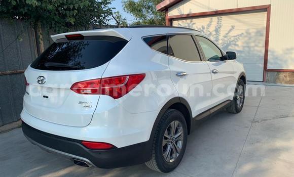 Sayi Na hannu Hyundai Santa Fe Sauran Mota in Douala a Ƙasar Kamaru Sayi Na hannu Hyundai Santa Fe Sauran Mota in Douala a Ƙasar Kamaru