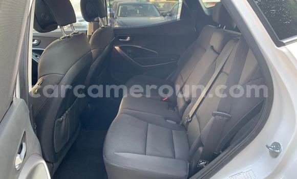 Sayi Na hannu Hyundai Santa Fe Sauran Mota in Douala a Ƙasar Kamaru Sayi Na hannu Hyundai Santa Fe Sauran Mota in Douala a Ƙasar Kamaru