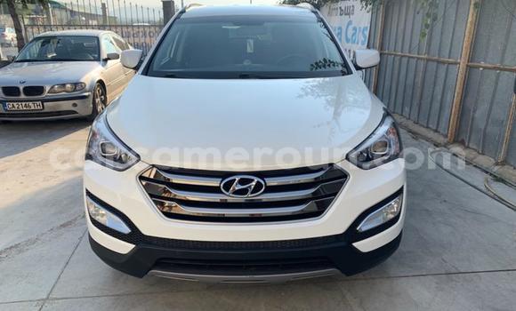 Sayi Na hannu Hyundai Santa Fe Sauran Mota in Douala a Ƙasar Kamaru Sayi Na hannu Hyundai Santa Fe Sauran Mota in Douala a Ƙasar Kamaru