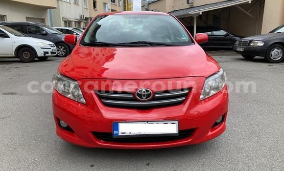 Acheter Occasion Voiture Toyota Corolla Autre à Douala, Littoral Cameroon Acheter Occasion Voiture Toyota Corolla Autre à Douala, Littoral Cameroon