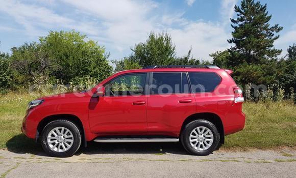 Acheter Occasion Voiture Toyota Land Cruiser Prado Autre à Douala, Littoral Cameroon Acheter Occasion Voiture Toyota Land Cruiser Prado Autre à Douala, Littoral Cameroon