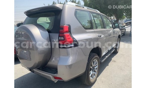 Acheter Import Voiture Toyota Prado Marron à Import - Dubai, Adamawa Acheter Import Voiture Toyota Prado Marron à Import - Dubai, Adamawa