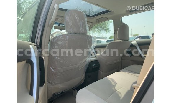 Acheter Import Voiture Toyota Prado Marron à Import - Dubai, Adamawa Acheter Import Voiture Toyota Prado Marron à Import - Dubai, Adamawa