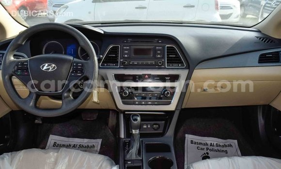 Buy Import Hyundai Sonata Brown Car in Import - Dubai in Adamawa Buy Import Hyundai Sonata Brown Car in Import - Dubai in Adamawa