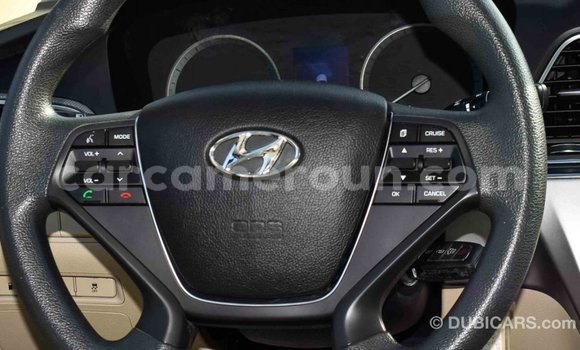 Buy Import Hyundai Sonata Brown Car in Import - Dubai in Adamawa Buy Import Hyundai Sonata Brown Car in Import - Dubai in Adamawa