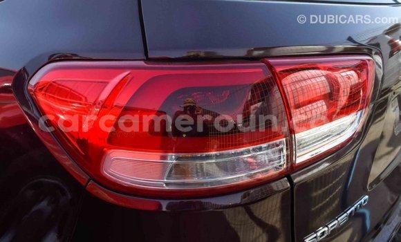 Buy Import Kia Sorento Brown Car in Import - Dubai in Adamawa Buy Import Kia Sorento Brown Car in Import - Dubai in Adamawa
